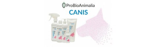 Pro-Biotyki dla psów